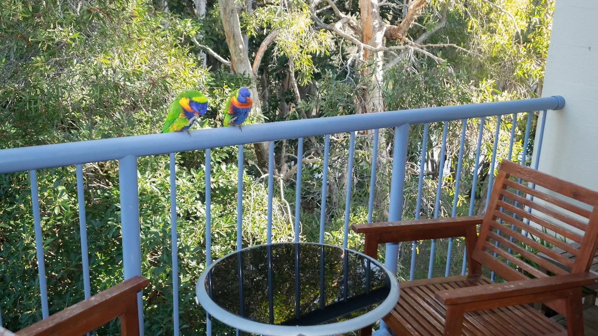 Sanctuary Lake Apartments Gold Coast