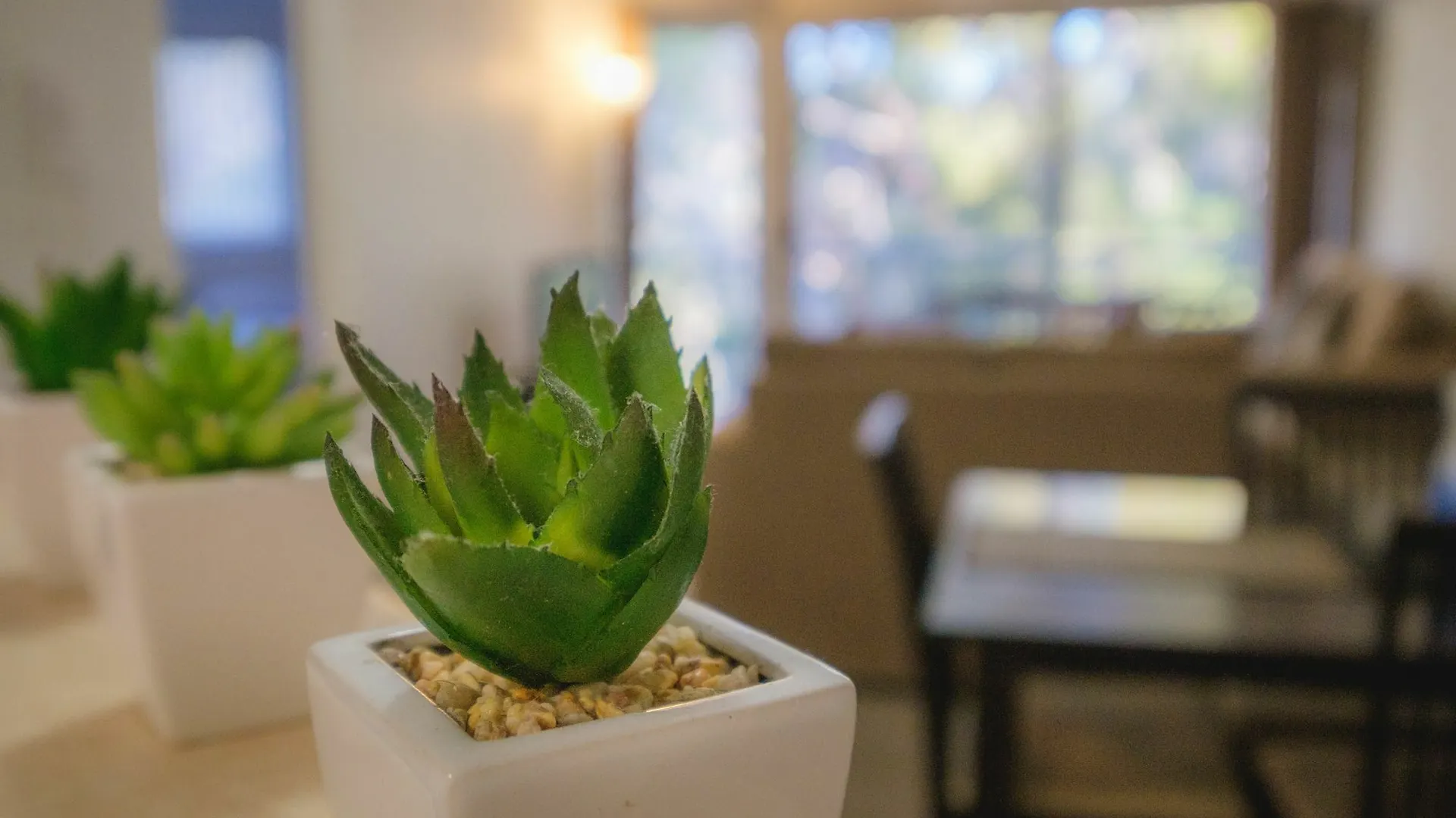 Sanctuary Lake Apartments Gold Coast Aparthotel