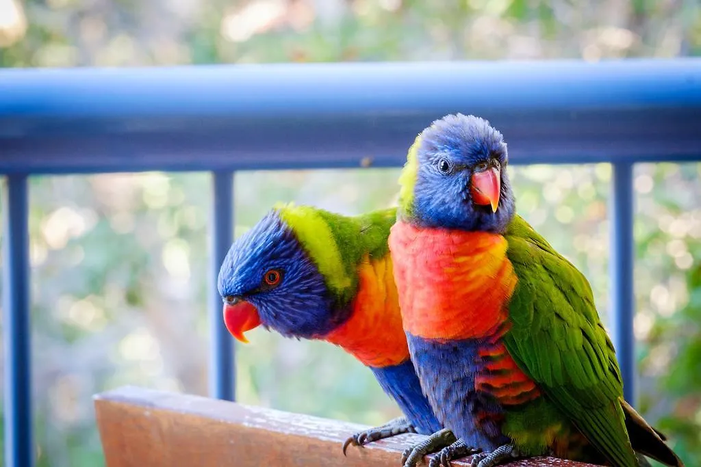 Sanctuary Lake Apartments Gold Coast